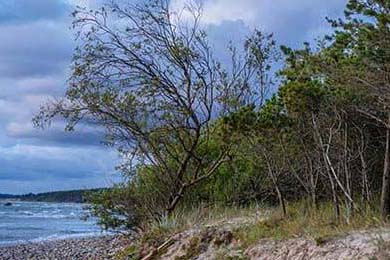 俄罗斯队重组阵容，欧洲门票争夺战打响，俄罗斯 国家队