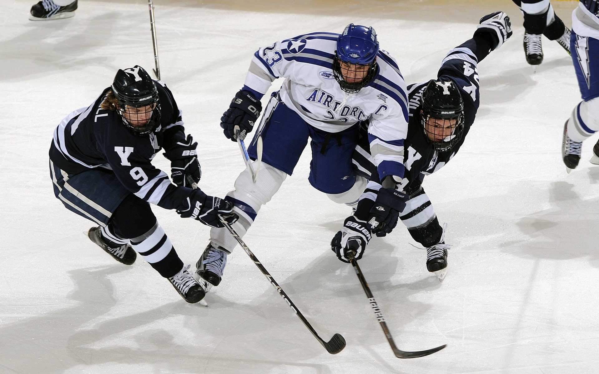 女子国家队战术分析师参与制定比赛预案，女子战队百科