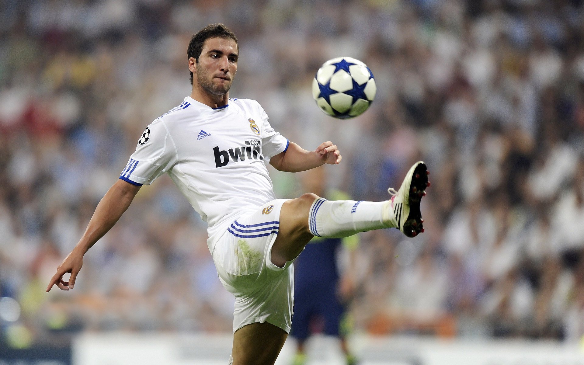 多功能足球场设计新理念，融合城市景观和休闲体验，多功能球场造价